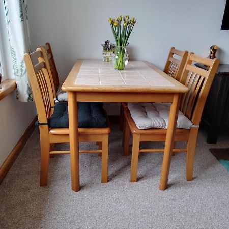 A Great Place For You And Your Dog To Stay Falmouth Extérieur photo