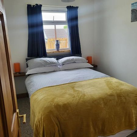 A Great Place For You And Your Dog To Stay Falmouth Extérieur photo
