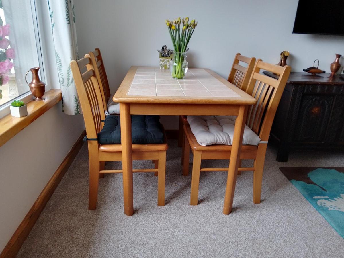 A Great Place For You And Your Dog To Stay Falmouth Extérieur photo